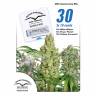 хорошие семена конопли 30st Anniversary Mix feminised Dutch Passion Seeds