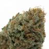 заказ семян конопли Москва G13 Haze feminised Barneys Farm